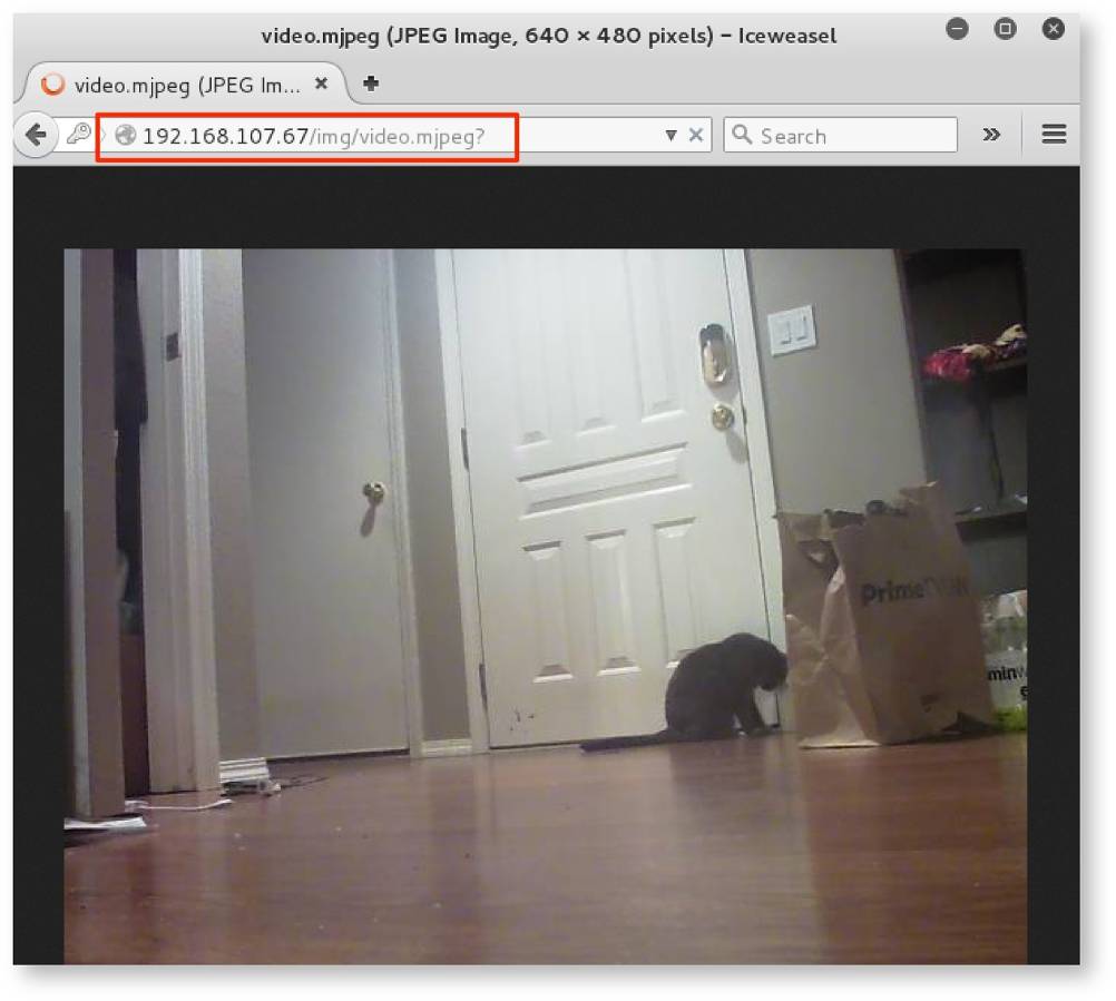 Figure 5: Direct video feed of the researcher's residence (and cat)